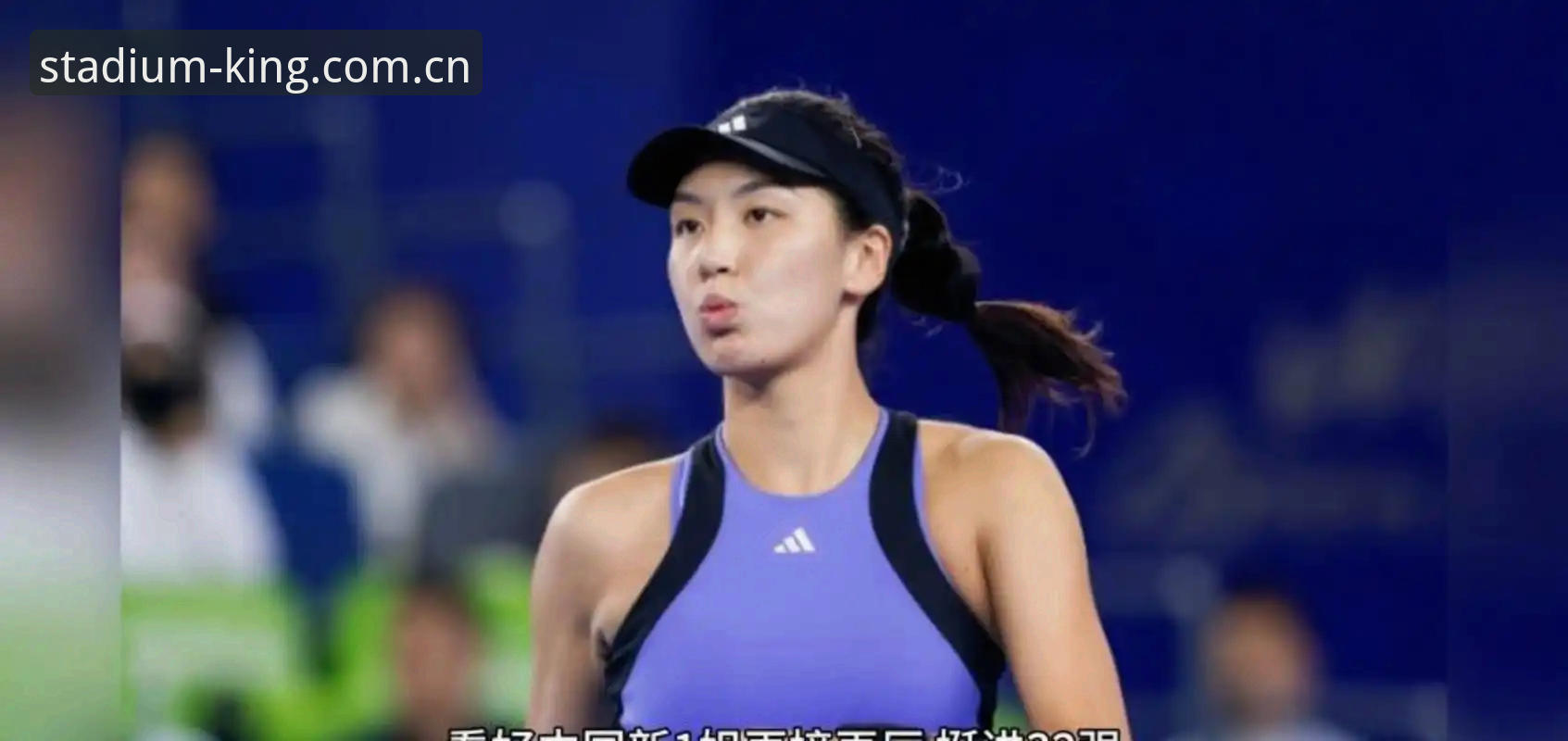 2026法网女单抽签深度评测：郑钦文保分压力与王欣瑜种子之路全解析